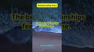 The best relationships feel like home || Fact World #shorts