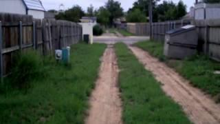 Skoggit's Alley