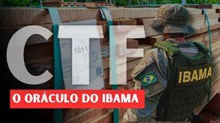 O que é o Cadastro Técnico Federal do IBAMA? #Ibama