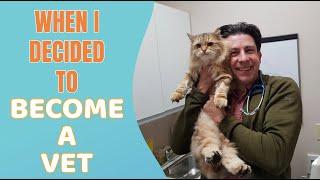 How I decided to become a veterinarian