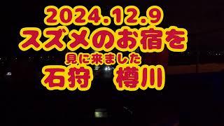 ニシン　樽川　スズメのお宿を　見に来ました