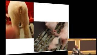 Recent Disease Challenge to our Industry —  Porcine Epidemic Diarrhea