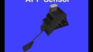 Accelerator Pedal Position Sensor