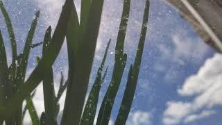 Лето