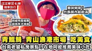 【江江哥愛七淘】機車旅行｜台南美食｜青鯤鯓美食｜青山漁港魚市｜ 青鯤鯓古早味蚵嗲 ｜古早味白糖粿 ｜謙備伯冰店｜#台南小吃 Taiwan Street Food #環島 #機車環島 #台南景點