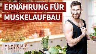 Optimale Ernährung für deinen Muskelaufbau | Fitness Ernährung // Muskelaufbau für Anfänger