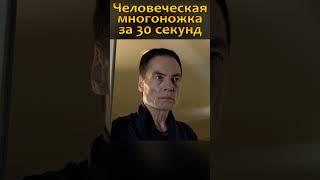 Человеческая Многоножка за 30 секунд
