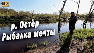 Река Остёр. Рыбалка мечты