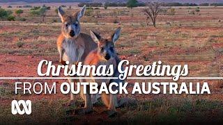 Merry Christmas from Outback Australia - 2024 video postcard from Chris Tangey  | ABC Australia