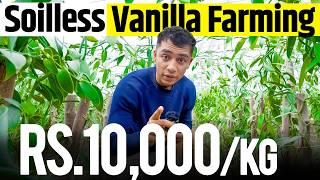 Rs.10,000/kg Crop! Vanilla Farming In Greenhouse Explained | Agritalk by Abhinav Roy