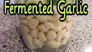 Fermented Garlic - Preserving Garlic with Fermentation