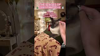 Stages of Christmas eve #christmas #music