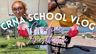 CRNA school weekly vlog - cardiac anesthesia 🫀