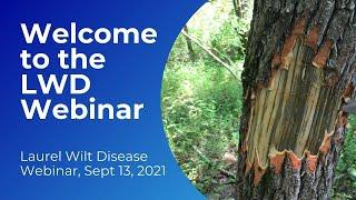 Welcome to the Laurel Wilt Disease Webinar!