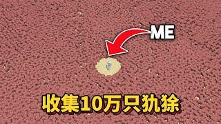 我的世界：肝帝老哥收集10万只犰狳，建造犰狳乐园 #我的世界#minecraft