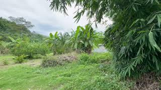 1 Rai with Mountain View Land for Sale in Khok Kloi, Phangnga