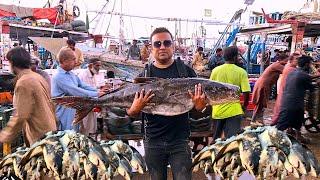 Exploring Karachi Cheapest Fish Market | Taza Machali ki Pehchan | Fish Currant Prices in Pakistan