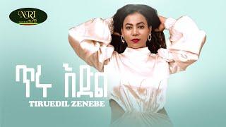 Tiruedel Zenebe - Tiru Edel - ጥሩእድል ዘነበ - ጥሩ እድል - New Amharic music 2024 (Official Videeo)