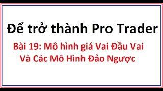 Để trở thành Pro Trader Bài 19: Mô hình Vai Đầu Vai và Các mô hình giá đảo ngược thông dụng