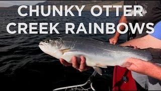 Catching Hard-Fighting Rainbow Trout at Otter Creek