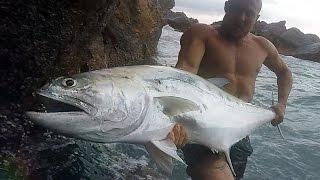 Rock Jumping onto a Big Queenfish