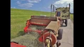 Landwirtschaft am Weserdeich