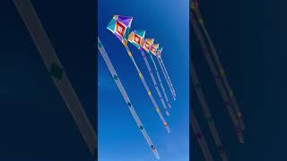 Diamond kites train #kite #beachvibes #flykite