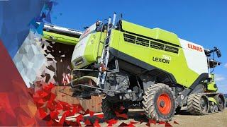 Claas Lexion 780 Anlieferung