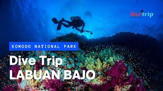 Dive Trip Labuan Bajo / Komodo Island Liveaboard