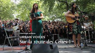 Urban voices 2017 - Sur la route des Celtes