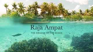 Raja Ampat - The Amazon of the Ocean
