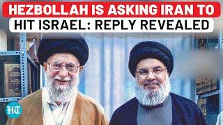 Hezbollah Is Asking Iran To Directly Attack Israel: Tehran Reply Revealed | IDF | Haniyeh | Lebanon