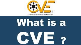 What's a CVE and how it affects you, how to search for one