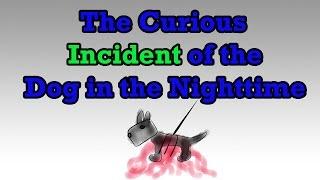 The Curious Incident of the Dog in the Nighttime by Mark Haddon (Book Summary) - Minute Book Report