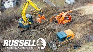 Russell Tree Experts Environmental Division: Now Hiring