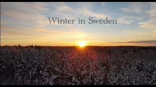 Winter in Schweden / Mystic Winter in Sweden / Viking Uppsala