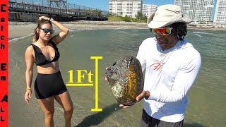 GIANT OYSTERS with PEARLS! **Tide Pool Digging**