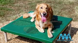 Dog Park Equipment - AAA State of Play