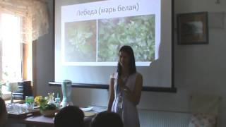 О зеленых коктейлях и пользе дикоросов