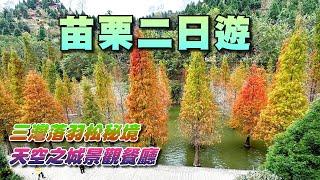 苗栗二日遊，龍騰斷橋+天空之城景觀餐廳+鯉魚潭水庫+卓蘭採橘子+大湖採草莓+三灣落羽松秘境+功維敘隧道+泰安泡溫泉