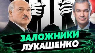 Ужесточение репрессий в Беларуси! Зачем Лукашенко нужны политзаключенные? Анализ Павла Латушко