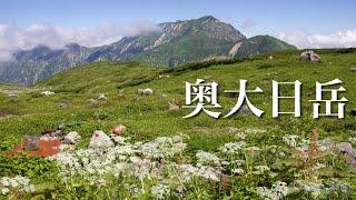 【夫婦登山】お花いっぱい夏の立山|花の百名山！奥大日岳｜立山1泊2日の旅①