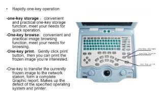 KX5600 Veterinary Ultrasound | Short Intro Video