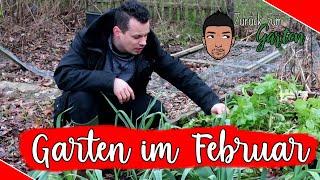 Gartenarbeiten Februar -Aussaattipps, Kompost, Gemüsegarten, Obstwiese