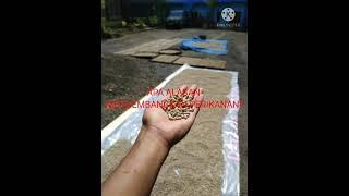 28462021 | AL FAQIHIYAH | 510032070702 | JAJA MUJAHIDUL HUDA | KAB. CIAMIS | #OPOP2021