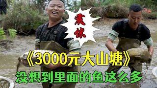 花3000包下壹個大山塘，沒想到裏面的魚這麽多？#農村生活  #我要上熱門 #三農 #戶外 #小飛哥#抓魚vlog