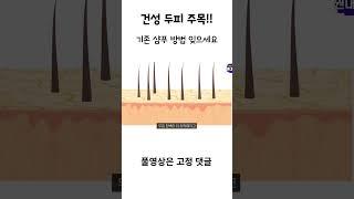 건성두피라면 이건 알고 샴푸해주세요