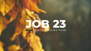 Job 23