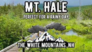 Mount Hale via Hale Brook Trail and Zealand Trail Loop - New Hampshire