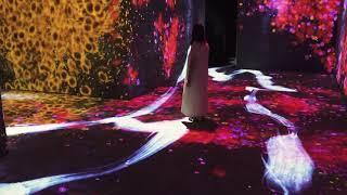 teamLab: Continuity at the Asian Art Museum